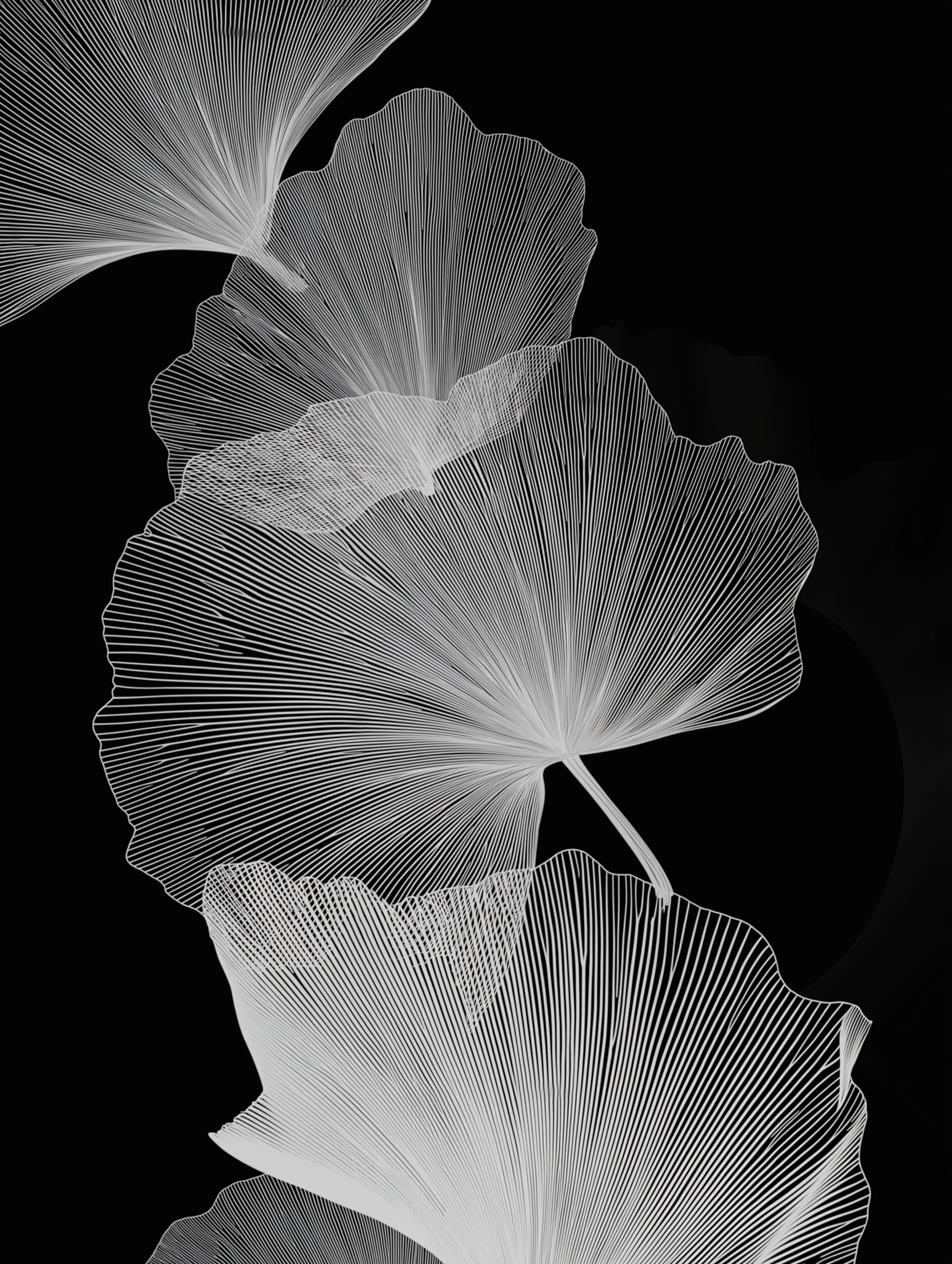 Mycelium substrate — Orenda network foundation